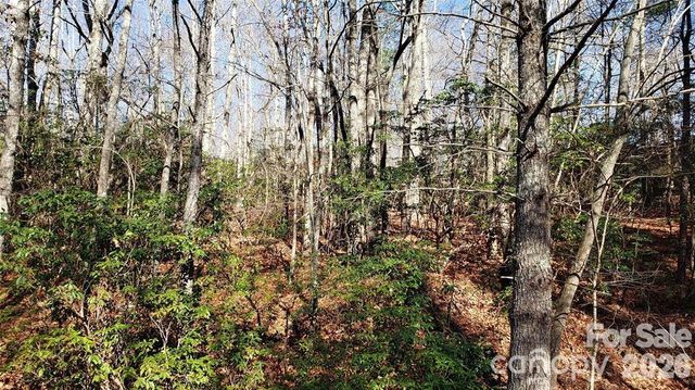 TBD Galax Lane G-11, Brevard, NC 28712