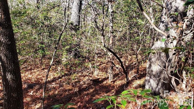 TBD Galax Lane G-11, Brevard, NC 28712