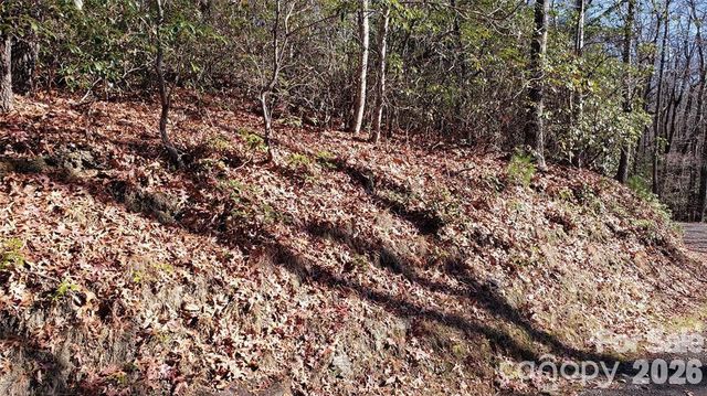 TBD Galax Lane G-11, Brevard, NC 28712