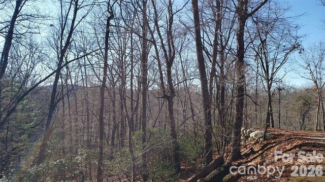 TBD Galax Lane G-11, Brevard, NC 28712