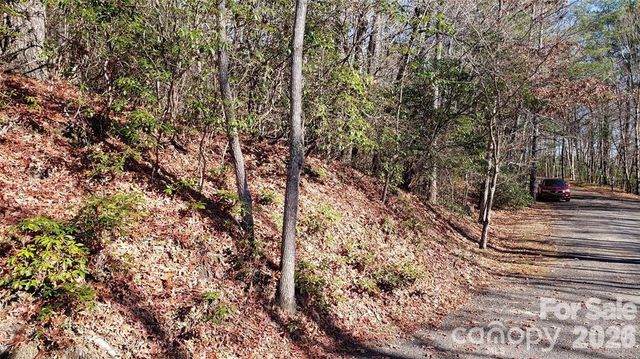 TBD Galax Lane G-11, Brevard, NC 28712