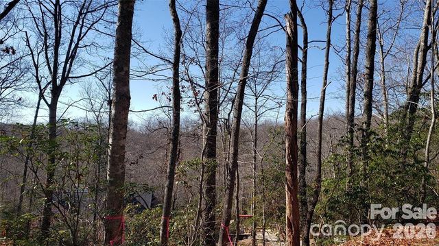 TBD Galax Lane G-11, Brevard, NC 28712