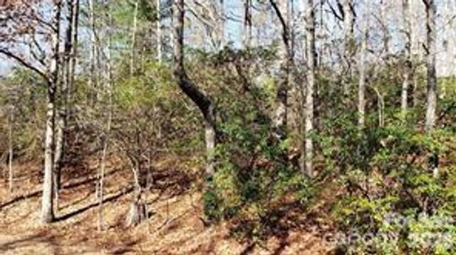 TBD Galax Lane G-11, Brevard, NC 28712