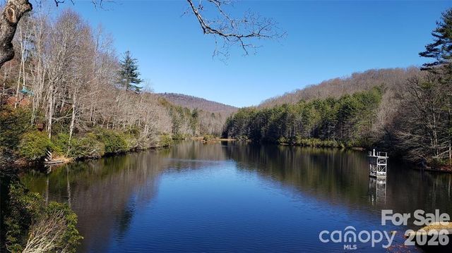 TBD Galax Lane G-11, Brevard, NC 28712