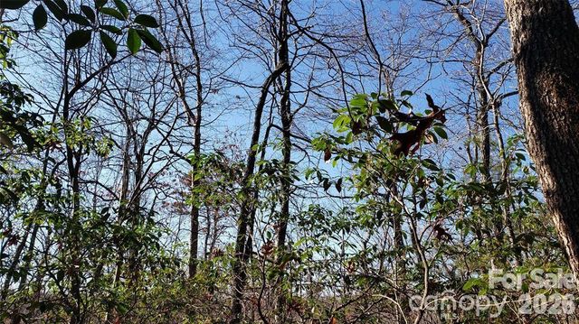 TBD Galax Lane G-11, Brevard, NC 28712