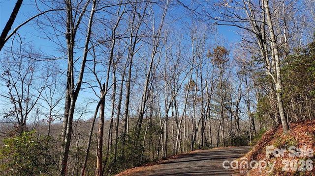 TBD Galax Lane G-11, Brevard, NC 28712