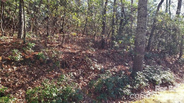 TBD Galax Lane G-11, Brevard, NC 28712