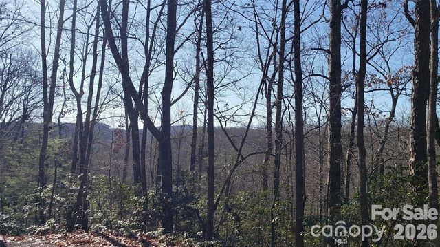 TBD Galax Lane G-11, Brevard, NC 28712