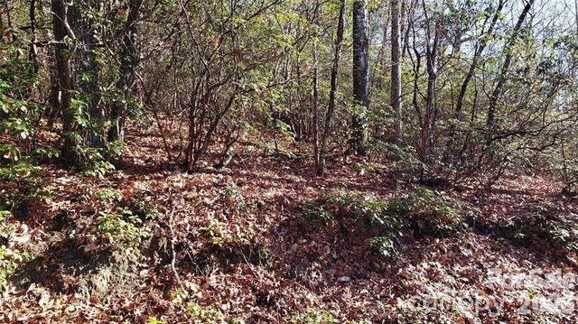 TBD Galax Lane G-11, Brevard, NC 28712