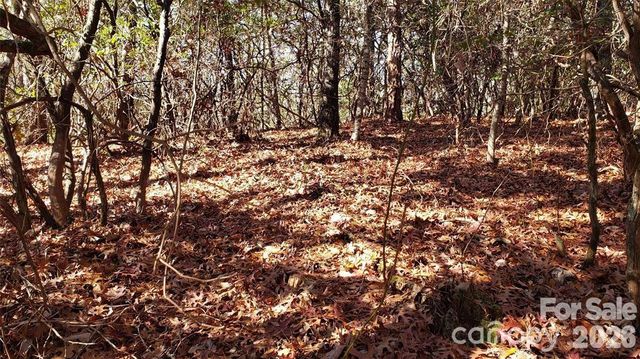 TBD Galax Lane G-11, Brevard, NC 28712
