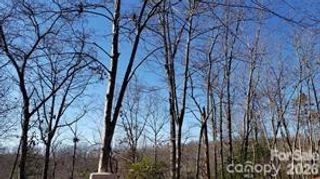 TBD Galax Lane G-11, Brevard, NC 28712