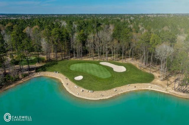 22017 Gateway Arch Drive, Porter, TX 77365