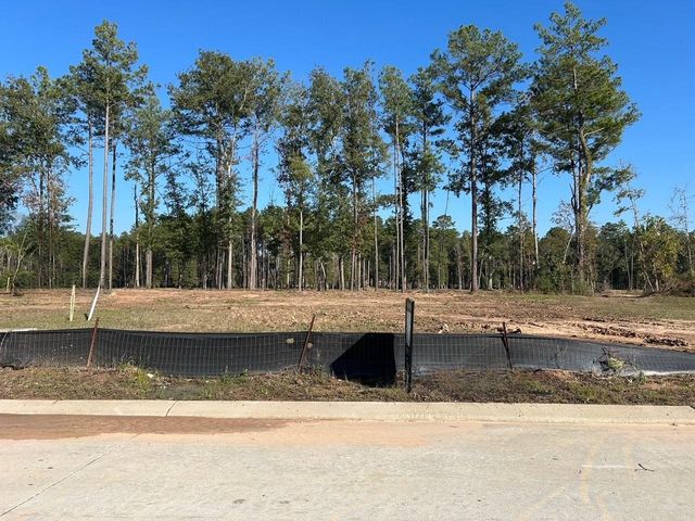 22017 Gateway Arch Drive, Porter, TX 77365