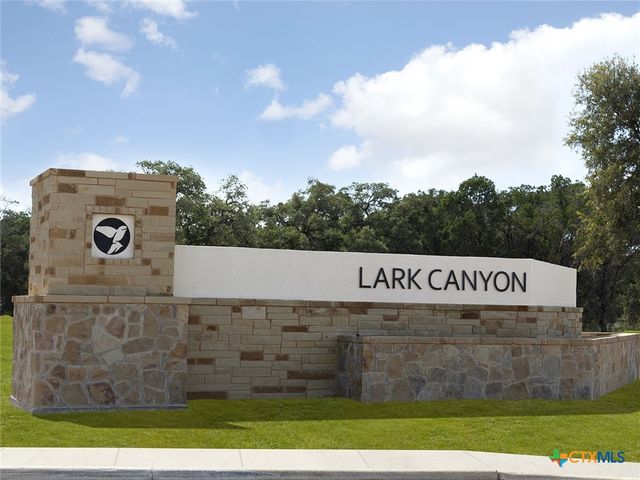 1540 Zion Drive, New Braunfels, TX 78132