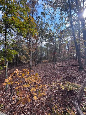 13250 W 76 Highway, Gray Court, SC 29645
