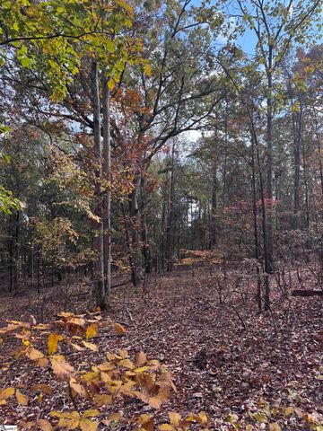13250 W 76 Highway, Gray Court, SC 29645