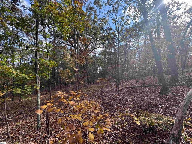 13250 W 76 Highway, Gray Court, SC 29645