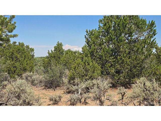 1615 Dunn Rd, San Luis, CO 81152