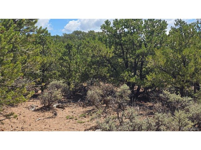 1615 Dunn Rd, San Luis, CO 81152