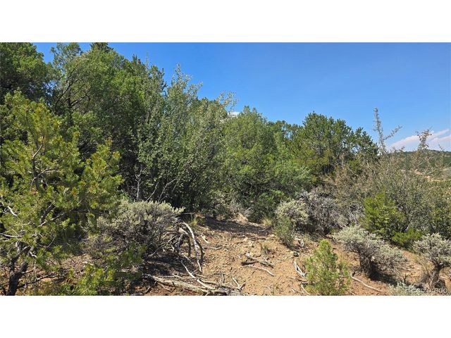 1615 Dunn Rd, San Luis, CO 81152