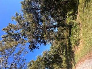 Betty Walton Road, Como, MS 38619