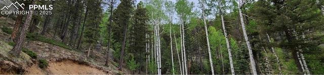 620 Steep Road, Manitou Springs, CO 80829