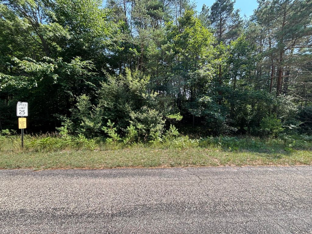 10951 Dobbyn Drive #51, Canadian Lakes, MI 49346