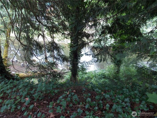 18132 SE Corbin Drive, Yelm, WA 98597