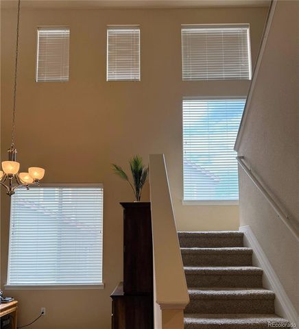 7407 Pimlico Drive, Windsor, CO 80550