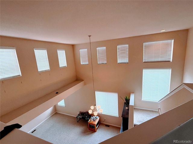 7407 Pimlico Drive, Windsor, CO 80550