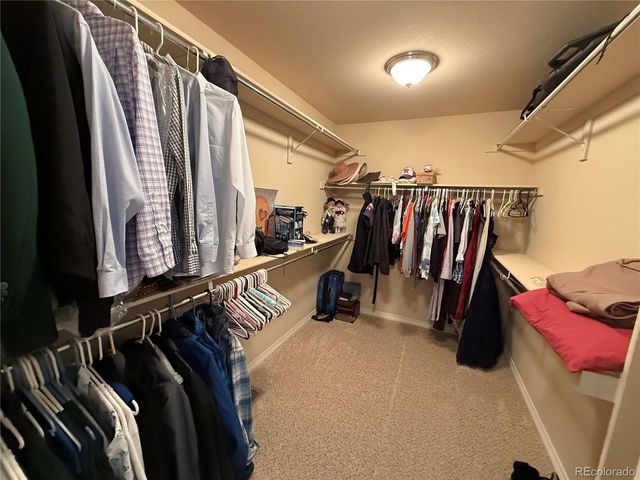 7407 Pimlico Drive, Windsor, CO 80550