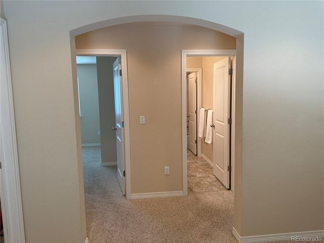 7407 Pimlico Drive, Windsor, CO 80550