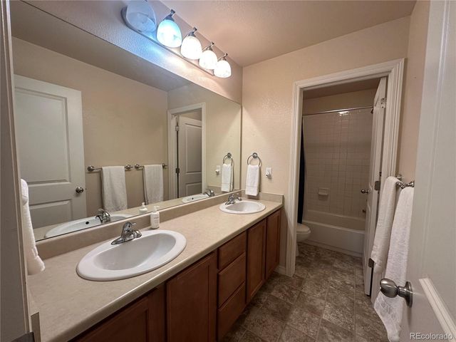 7407 Pimlico Drive, Windsor, CO 80550