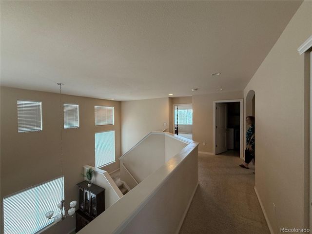 7407 Pimlico Drive, Windsor, CO 80550