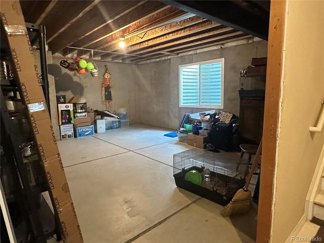 7407 Pimlico Drive, Windsor, CO 80550