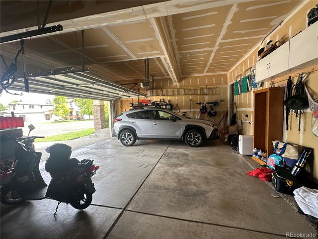 7407 Pimlico Drive, Windsor, CO 80550