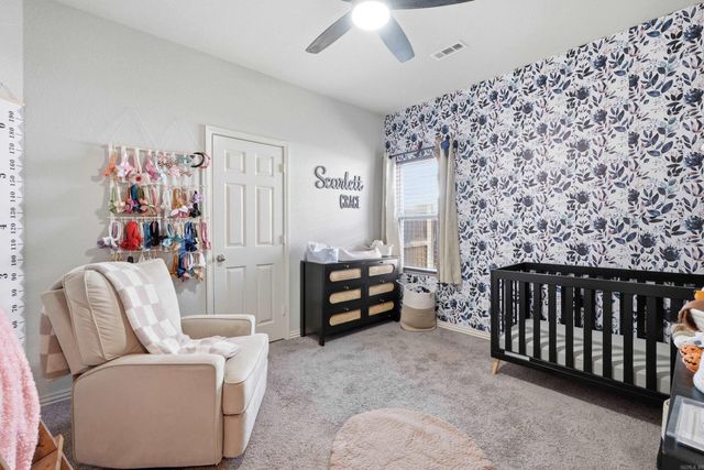 2020 Mary Alice Drive, Conway, AR 72032