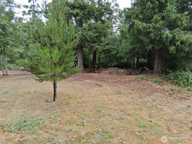 0 O Lane, Ocean Park, WA 98640