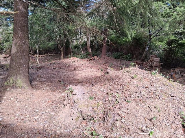 0 O Lane, Ocean Park, WA 98640