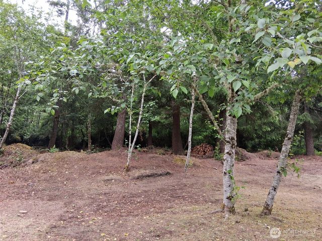 0 O Lane, Ocean Park, WA 98640