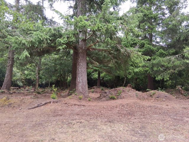 0 O Lane, Ocean Park, WA 98640