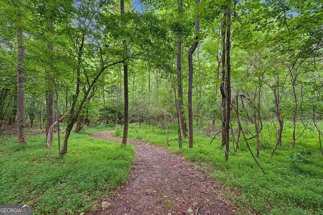 151 Preserve Parkway, Ball Ground, GA 30107