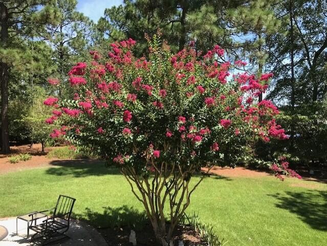 356 Forest Pines Road, Aiken, SC 29803