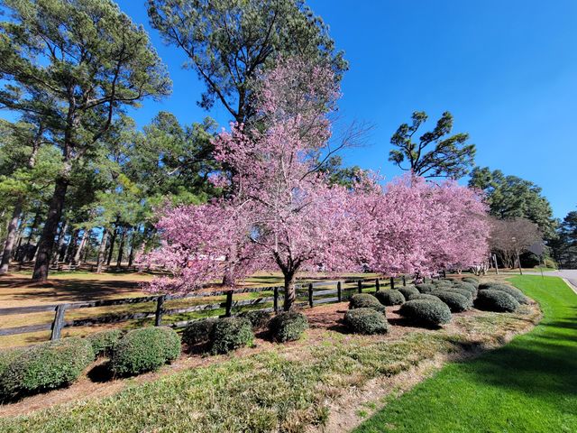 356 Forest Pines Road, Aiken, SC 29803