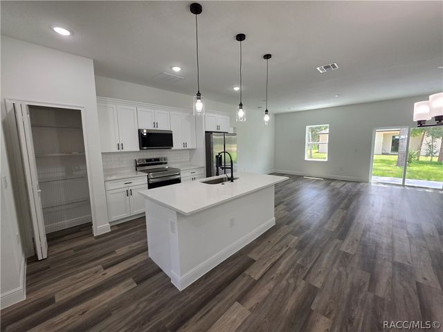 8125 N Maltese Drive, Citrus Springs, FL 34433