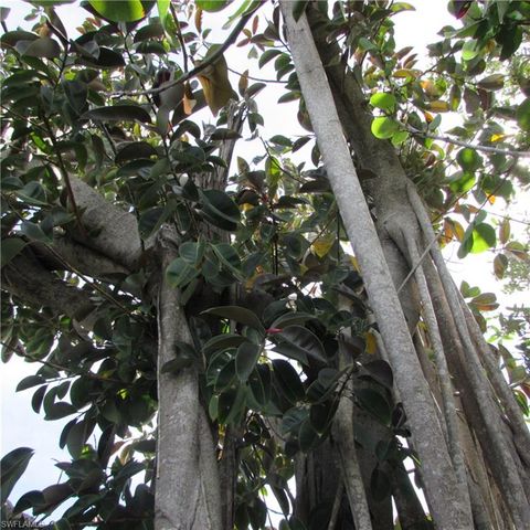 4195 Pine Island RD NW, Matlacha, FL 33993