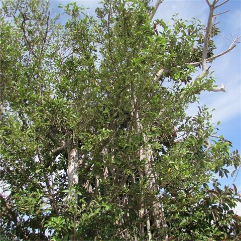 4195 Pine Island RD NW, Matlacha, FL 33993