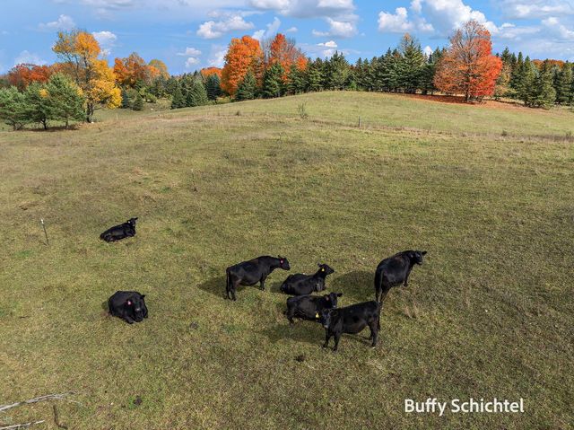 20017 7 Mile Road, Reed City, MI 49677