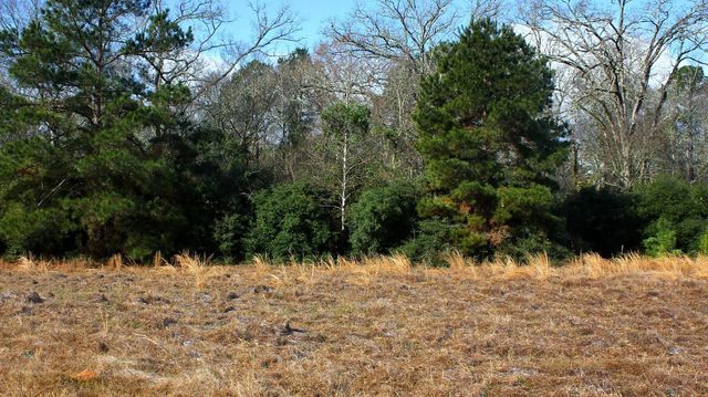 TBD La Petite Court, Trinity, TX 75862