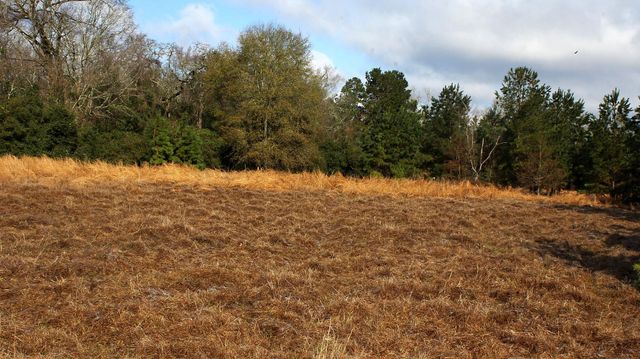 TBD La Petite Court, Trinity, TX 75862